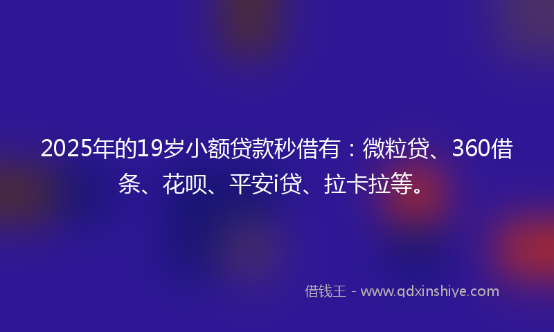 2025年的19岁小额贷款秒借有：微粒贷、360借条、花呗、平安i贷、拉卡拉等。