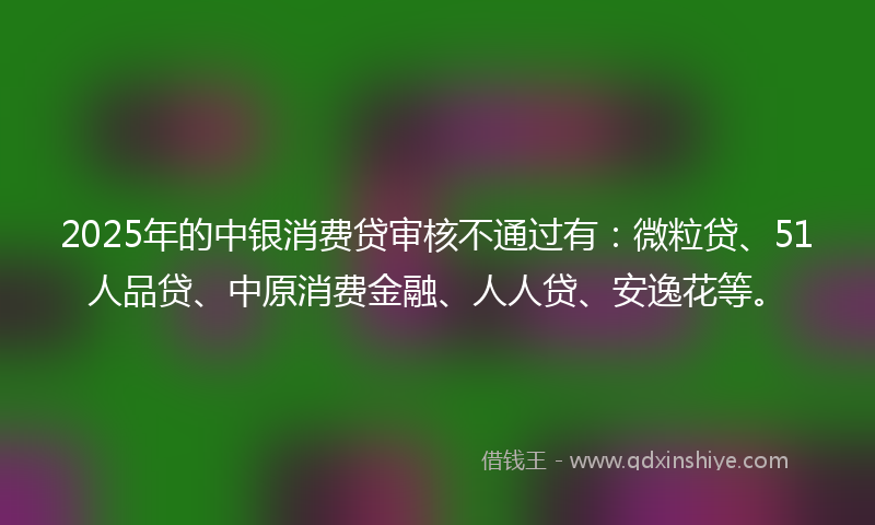 2025年的中银消费贷审核不通过有：微粒贷、51人品贷、中原消费金融、人人贷、安逸花等。