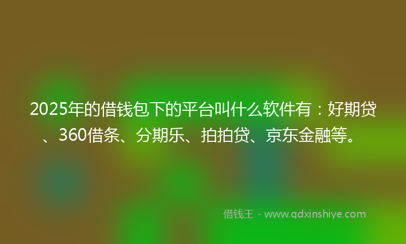 2025年的借钱包下的平台叫什么软件有：好期贷、360借条、分期乐、拍拍贷、京东金融等。