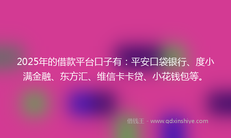 2025年的借款平台口子有：平安口袋银行、度小满金融、东方汇、维信卡卡贷、小花钱包等。