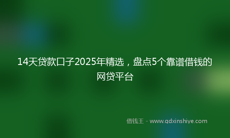 14天贷款口子2025年精选，盘点5个靠谱借钱的网贷平台