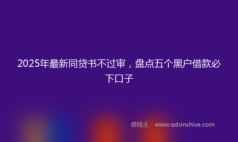 2025年最新同贷书不过审，盘点五个黑户借款必下口子