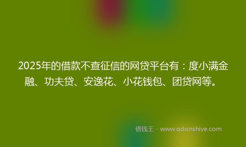 2025年的借款不查征信的网贷平台有：度小满金融、功夫贷、安逸花、小花钱包、团贷网等。