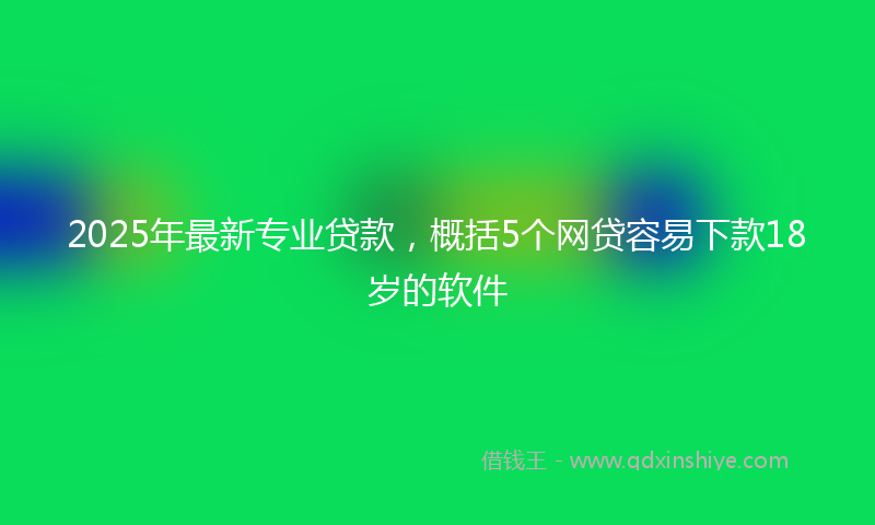 2025年最新专业贷款，概括5个网贷容易下款18岁的软件