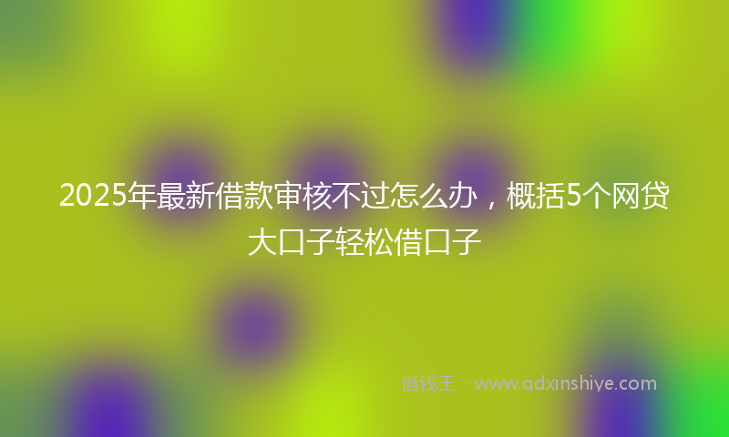 2025年最新借款审核不过怎么办，概括5个网贷大口子轻松借口子