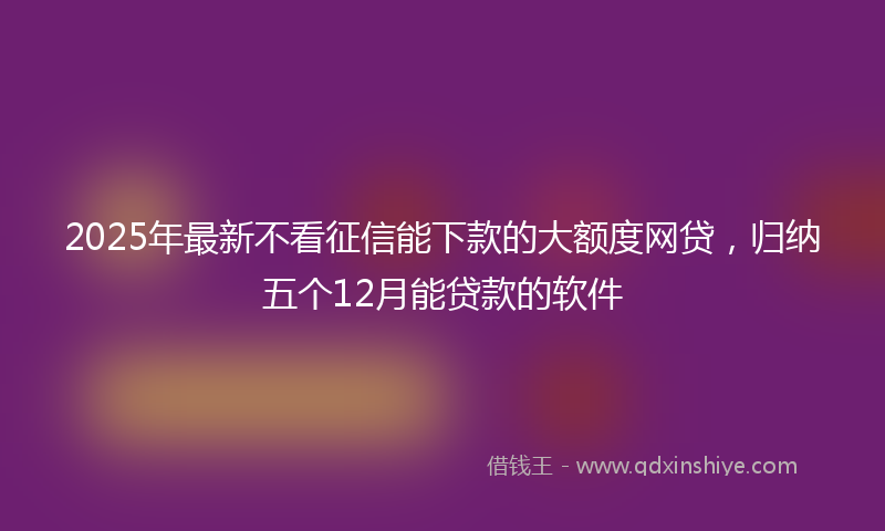 2025年最新不看征信能下款的大额度网贷，归纳五个12月能贷款的软件
