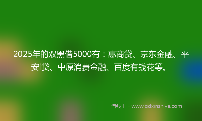 2025年的双黑借5000有：惠商贷、京东金融、平安i贷、中原消费金融、百度有钱花等。