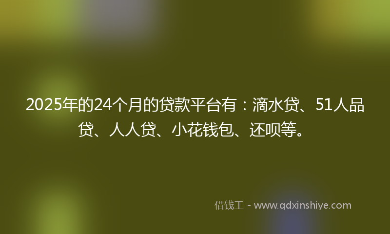 2025年的24个月的贷款平台有：滴水贷、51人品贷、人人贷、小花钱包、还呗等。