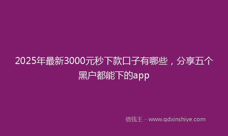 2025年最新3000元秒下款口子有哪些，分享五个黑户都能下的app