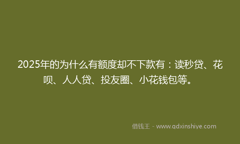 2025年的为什么有额度却不下款有：读秒贷、花呗、人人贷、投友圈、小花钱包等。