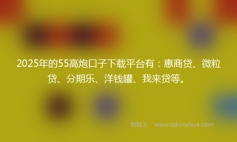 2025年的55高炮口子下载平台有：惠商贷、微粒贷、分期乐、洋钱罐、我来贷等。