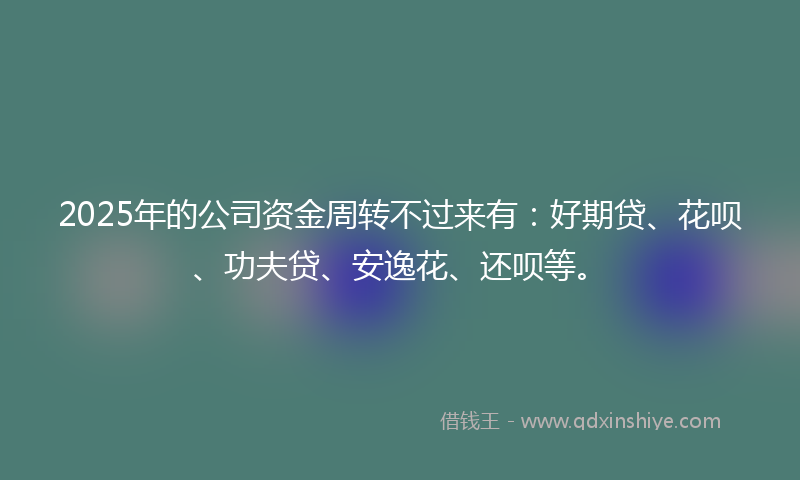 2025年的公司资金周转不过来有：好期贷、花呗、功夫贷、安逸花、还呗等。