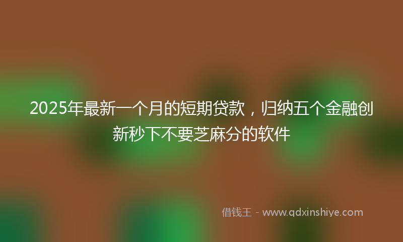 2025年最新一个月的短期贷款，归纳五个金融创新秒下不要芝麻分的软件