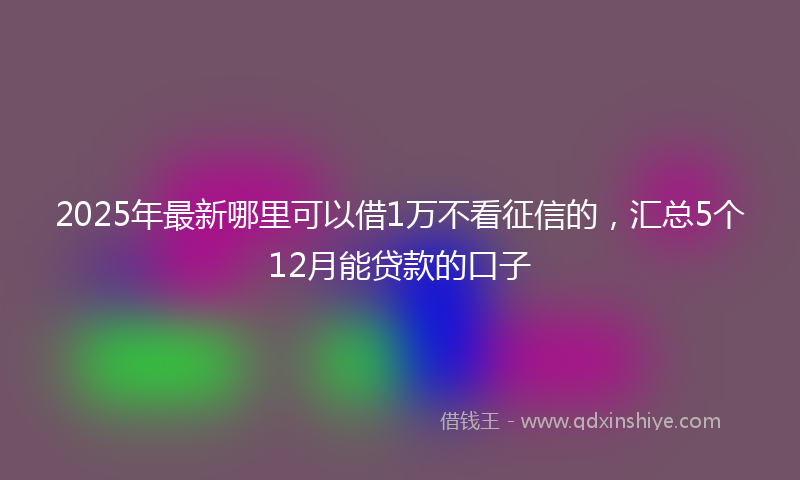 2025年最新哪里可以借1万不看征信的，汇总5个12月能贷款的口子