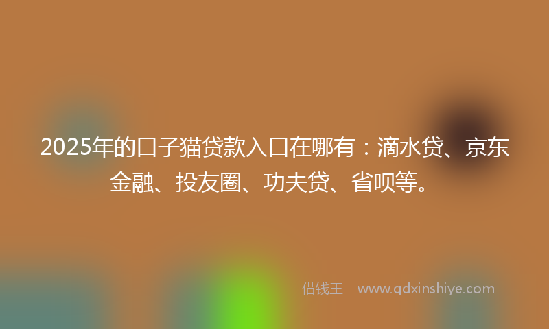 2025年的口子猫贷款入口在哪有：滴水贷、京东金融、投友圈、功夫贷、省呗等。
