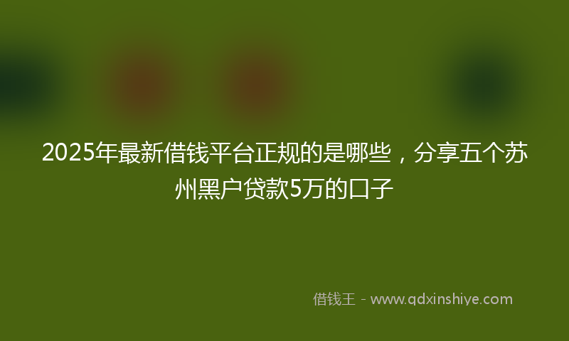 2025年最新借钱平台正规的是哪些，分享五个苏州黑户贷款5万的口子