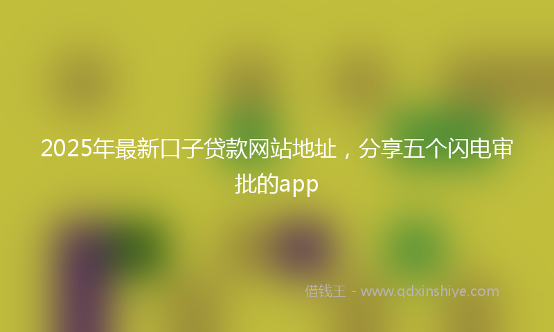 2025年最新口子贷款网站地址，分享五个闪电审批的app