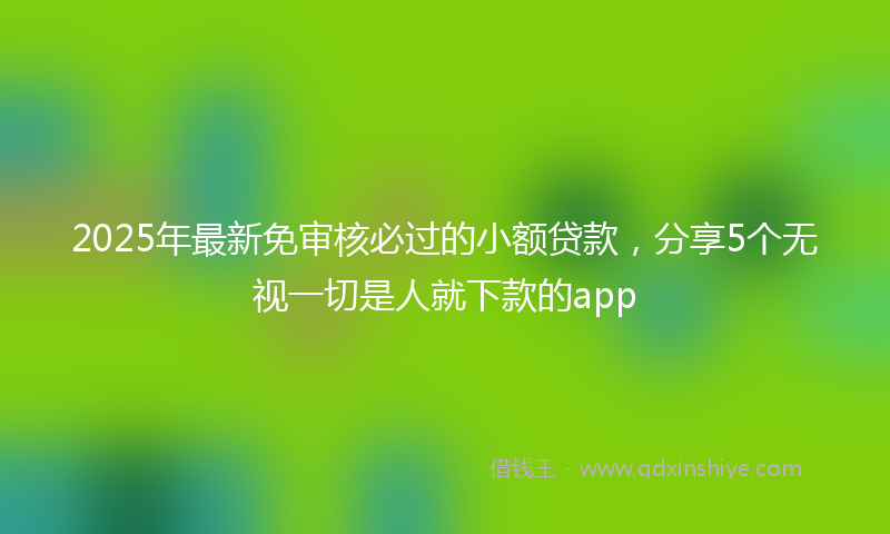2025年最新免审核必过的小额贷款，分享5个无视一切是人就下款的app