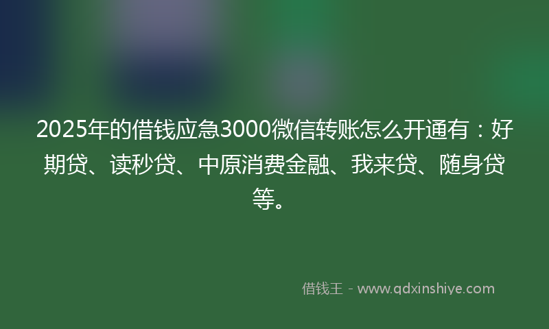 2025年的借钱应急3000微信转账怎么开通有：好期贷、读秒贷、中原消费金融、我来贷、随身贷等。
