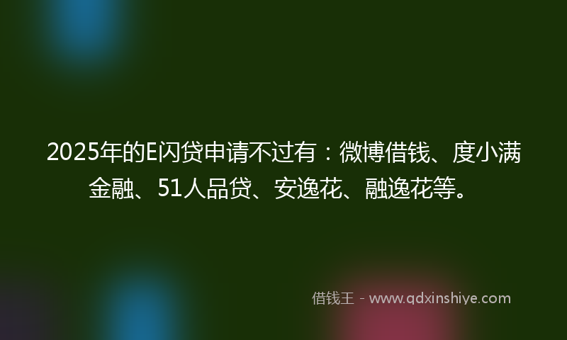 2025年的E闪贷申请不过有：微博借钱、度小满金融、51人品贷、安逸花、融逸花等。