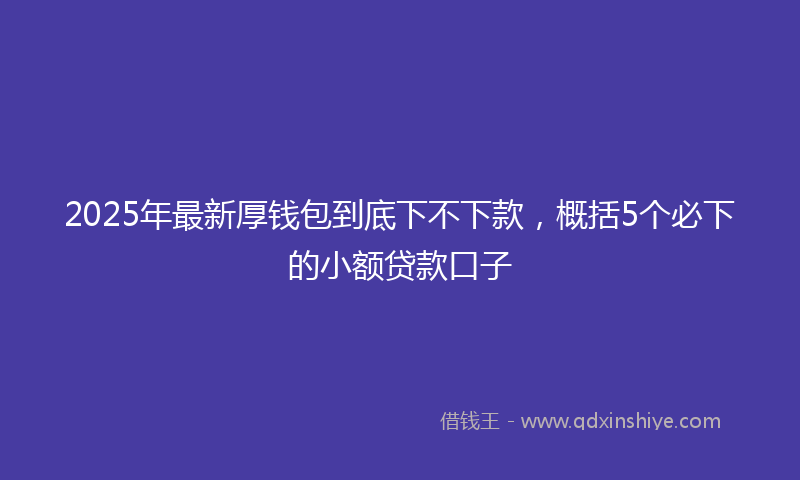 2025年最新厚钱包到底下不下款，概括5个必下的小额贷款口子