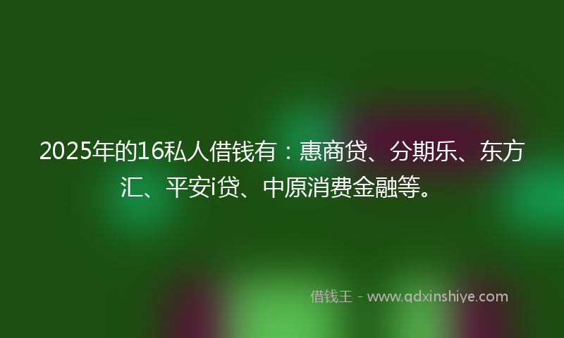 2025年的16私人借钱有：惠商贷、分期乐、东方汇、平安i贷、中原消费金融等。