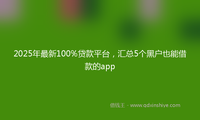 2025年最新100%贷款平台，汇总5个黑户也能借款的app