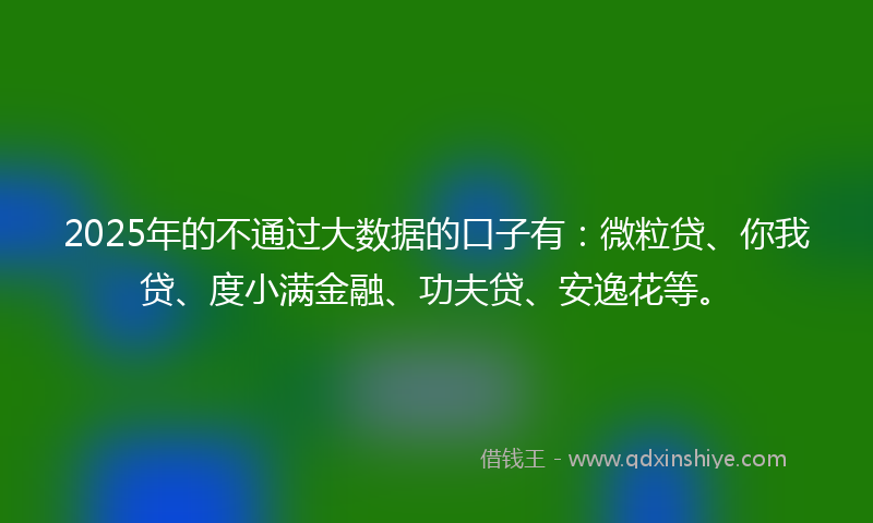 2025年的不通过大数据的口子有：微粒贷、你我贷、度小满金融、功夫贷、安逸花等。
