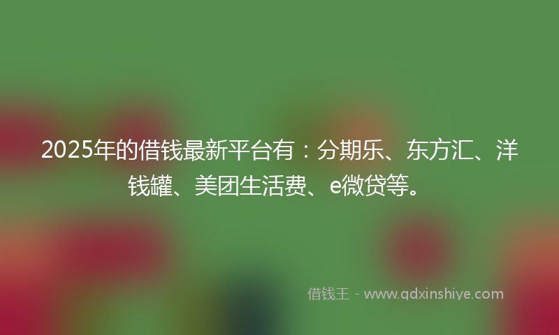 2025年的借钱最新平台有：分期乐、东方汇、洋钱罐、美团生活费、e微贷等。
