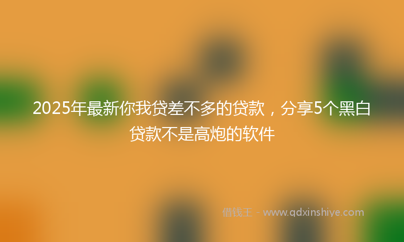 2025年最新你我贷差不多的贷款，分享5个黑白贷款不是高炮的软件