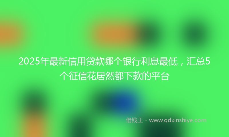 2025年最新信用贷款哪个银行利息最低，汇总5个征信花居然都下款的平台