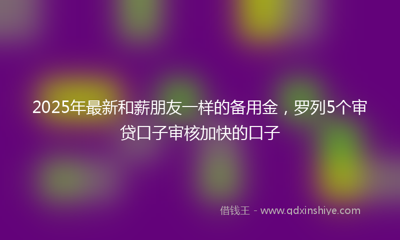 2025年最新和薪朋友一样的备用金，罗列5个审贷口子审核加快的口子