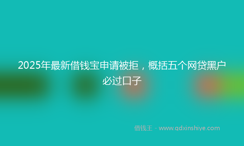 2025年最新借钱宝申请被拒，概括五个网贷黑户必过口子