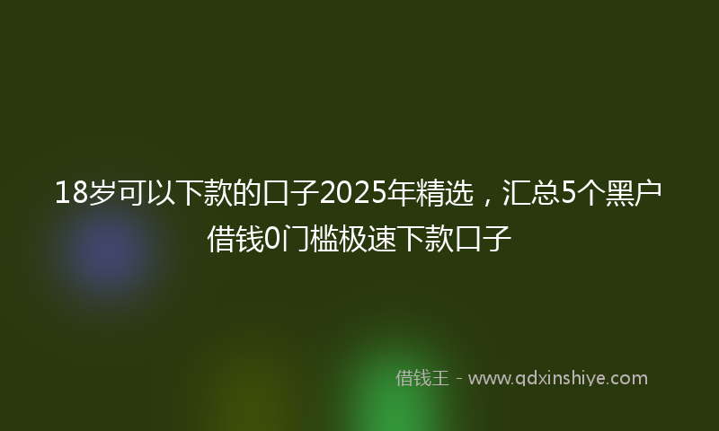 18岁可以下款的口子2025年精选，汇总5个黑户借钱0门槛极速下款口子
