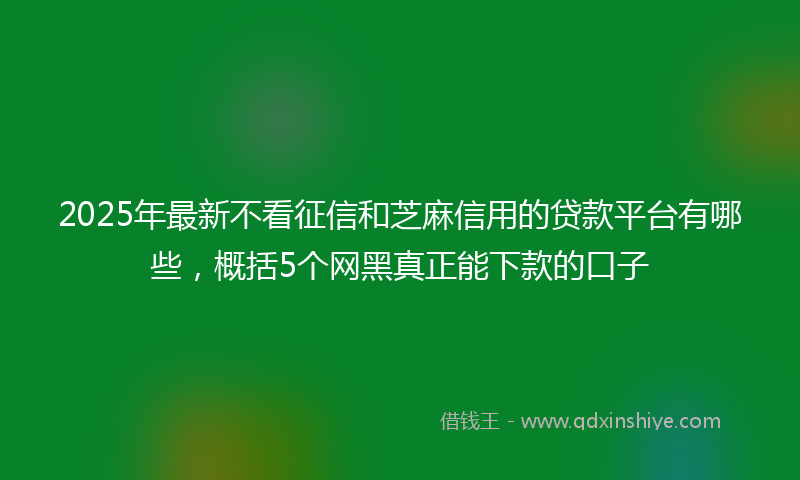 2025年最新不看征信和芝麻信用的贷款平台有哪些，概括5个网黑真正能下款的口子