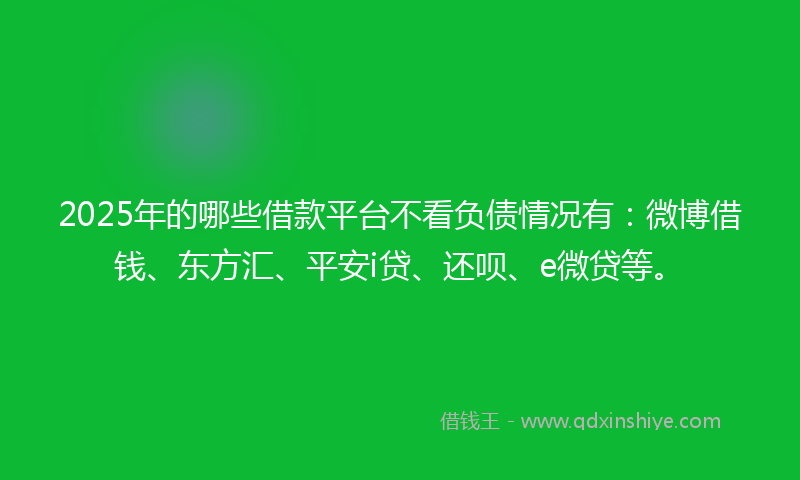 2025年的哪些借款平台不看负债情况有：微博借钱、东方汇、平安i贷、还呗、e微贷等。