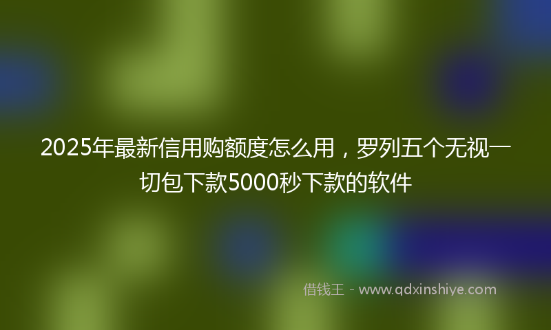 2025年最新信用购额度怎么用，罗列五个无视一切包下款5000秒下款的软件