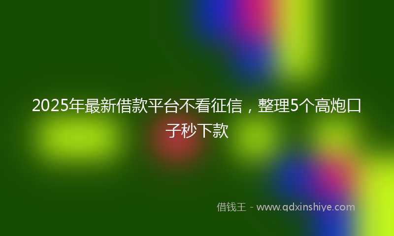 2025年最新借款平台不看征信，整理5个高炮口子秒下款