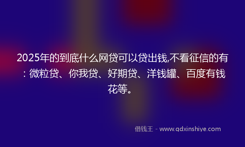 2025年的到底什么网贷可以贷出钱,不看征信的有：微粒贷、你我贷、好期贷、洋钱罐、百度有钱花等。