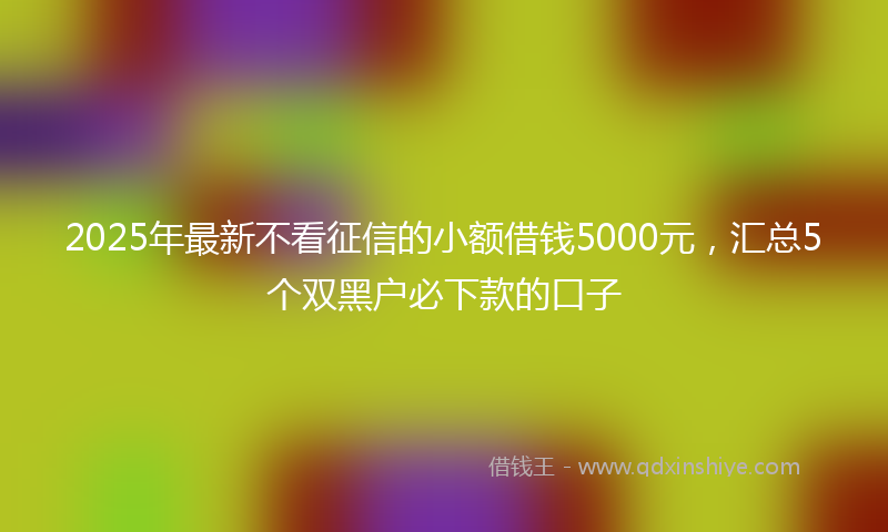 2025年最新不看征信的小额借钱5000元，汇总5个双黑户必下款的口子