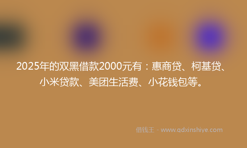 2025年的双黑借款2000元有：惠商贷、柯基贷、小米贷款、美团生活费、小花钱包等。