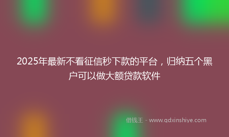 2025年最新不看征信秒下款的平台，归纳五个黑户可以做大额贷款软件