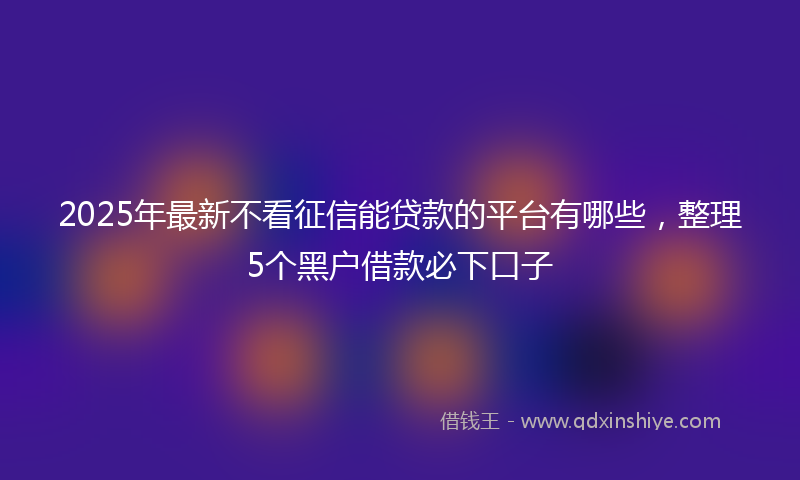 2025年最新不看征信能贷款的平台有哪些，整理5个黑户借款必下口子