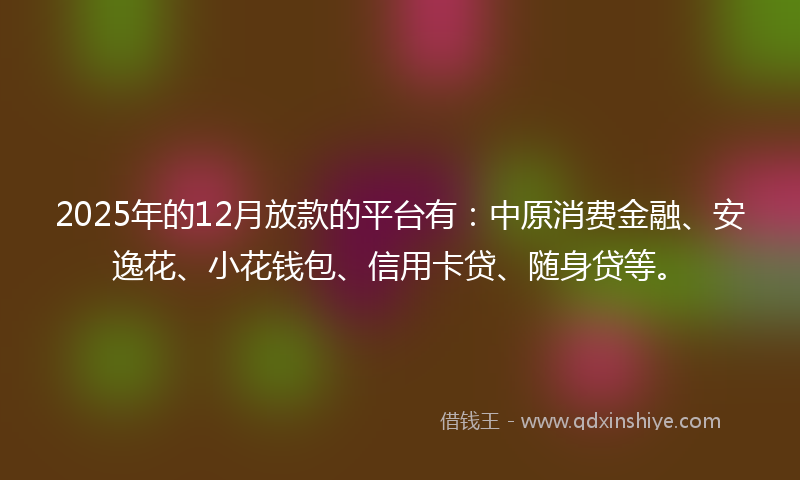 2025年的12月放款的平台有：中原消费金融、安逸花、小花钱包、信用卡贷、随身贷等。