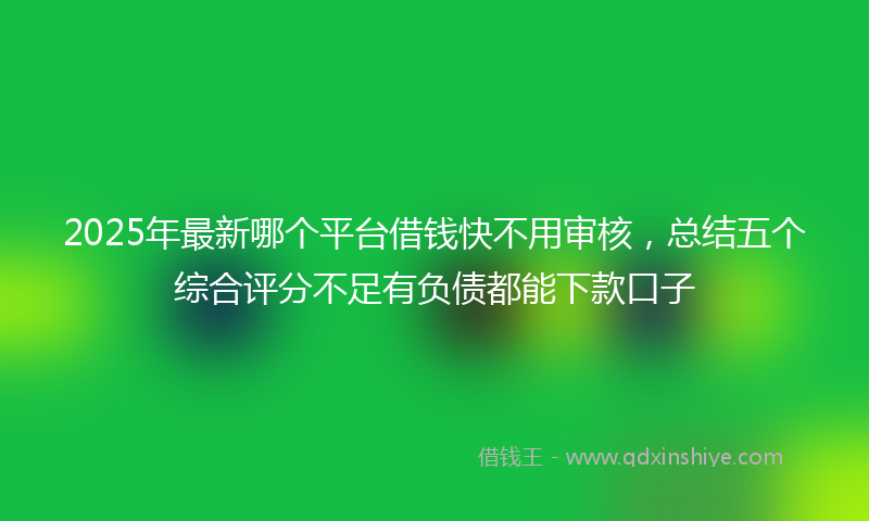 2025年最新哪个平台借钱快不用审核，总结五个综合评分不足有负债都能下款口子
