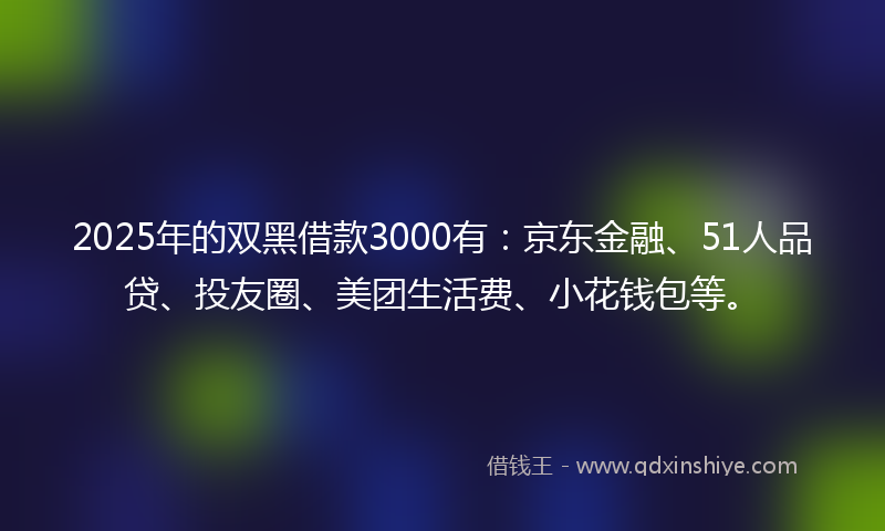 2025年的双黑借款3000有：京东金融、51人品贷、投友圈、美团生活费、小花钱包等。