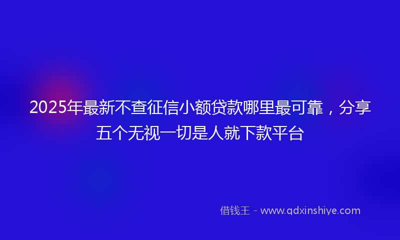 2025年最新不查征信小额贷款哪里最可靠，分享五个无视一切是人就下款平台