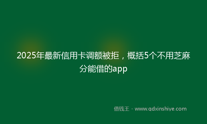 2025年最新信用卡调额被拒，概括5个不用芝麻分能借的app