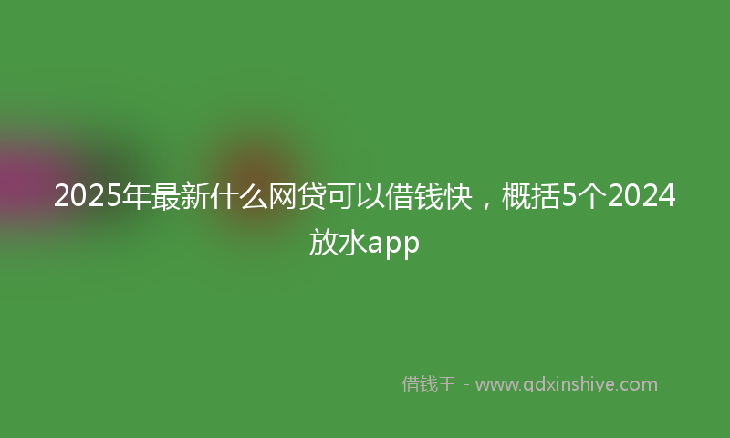 2025年最新什么网贷可以借钱快，概括5个2024放水app