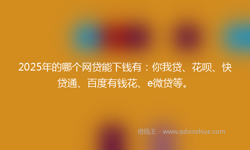 2025年的哪个网贷能下钱有：你我贷、花呗、快贷通、百度有钱花、e微贷等。
